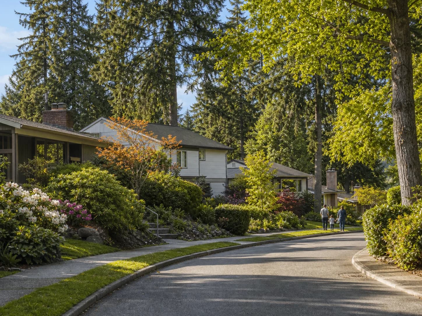 Newport Hills family neighborhood with mature trees in Bellevue