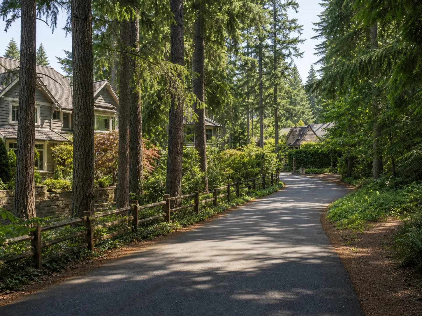 Bridle Trails wooded estate neighborhood with mature evergreens