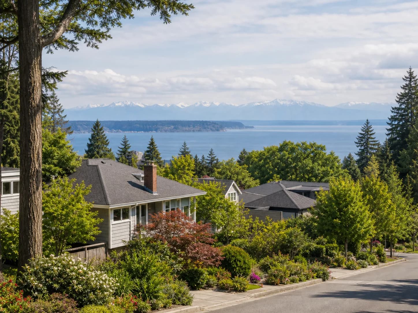 Magnolia Seattle Discovery Park bluff views toward Puget Sound and the Olympics